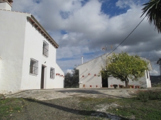 249073.jpg