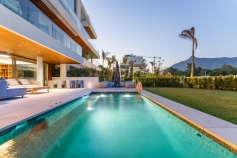 292504.jpg