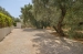 BOEAAP2941_97709_V1_3F0D.jpg