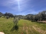 AWVADP937_35412_V0_F466.jpg