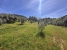 AWVADP937_35413_V0_74F5.jpg