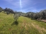 AWVADP937_35414_V0_2094.jpg