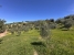 AWVADP937_35415_V0_045E.jpg