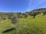 AWVADP937_35416_V0_D93F.jpg