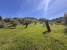 AWVADP937_35417_V0_77AD.jpg