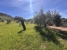 AWVADP937_35418_V0_FCFC.jpg