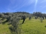 AWVADP937_35420_V0_2C0B.jpg