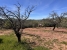AWVADP937_35421_V0_A3D4.jpg