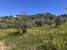 AWVADP937_35422_V0_C31E.jpg