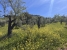 AWVADP937_35424_V0_6894.jpg
