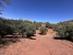 AWVADP937_35426_V0_8877.jpg