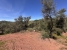 AWVADP937_35427_V0_3AE0.jpg