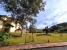 20-d1f7658cbe4ba6cd8666fec30fba80ad.jpg