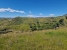 25-45e7a00e8ada30030040e20a35fbccfd.jpg