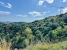 19-d0ed7da2012a09046d307c195d98e7d6.jpg