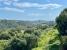 9-467d0cee5b725f3ef65f102a0c2e69c0.jpg