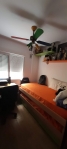 5-3595ad71cbd87be6c3643a4285ef4791.jpg