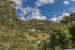 9-467d0cee5b725f3ef65f102a0c2e69c0.jpg