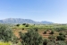 5-3595ad71cbd87be6c3643a4285ef4791.jpg