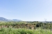 7-aa4cc561180b369757c0bb4af9886cd3.jpg