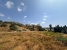 7-aa4cc561180b369757c0bb4af9886cd3.jpg