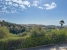 37-1d70d218e897435ff17cdff8e99bb5bf.jpg