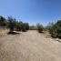 29-7c2f312881aea9bbe9ddaeb9640e2c9a.jpg