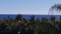 4-c23c0f86247804fa50226aecd8b0b2c8.jpg