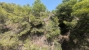 8-e64a9055bba3e77ac8aca3b893cdf826.jpg