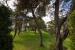 29-7c2f312881aea9bbe9ddaeb9640e2c9a.jpg