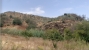 4-c23c0f86247804fa50226aecd8b0b2c8.jpg