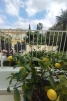 40-f31507287178c6a03c2c34ff88cc832c.jpg
